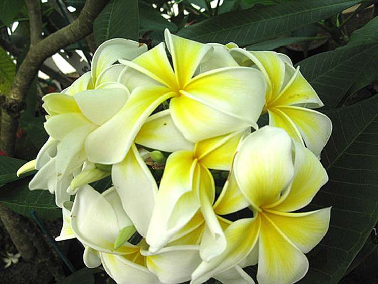 330 West Coast Road Awanui_15