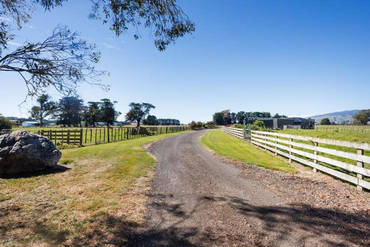 1373 Colyton Road Ashhurst_18