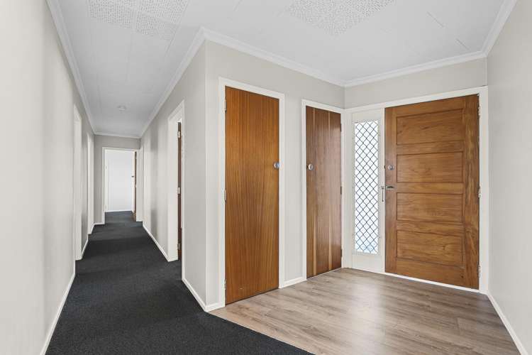 12 Saxton Road Upper Vogeltown_6