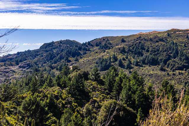 Ngahape Road Masterton_1