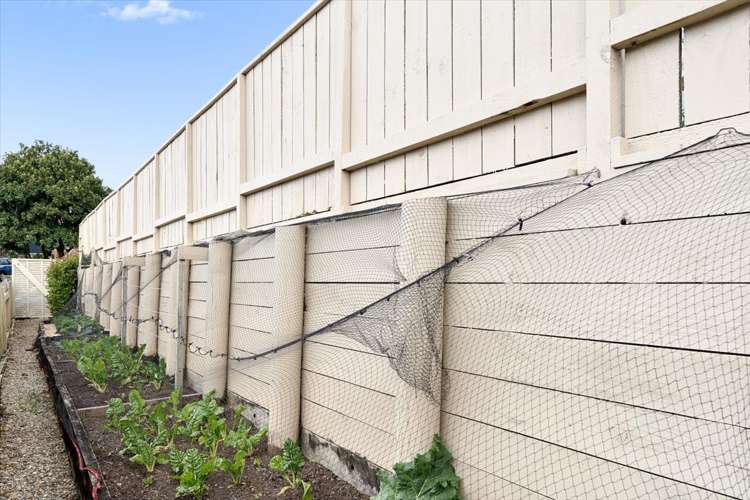 11 Maddison Place Welcome Bay_27