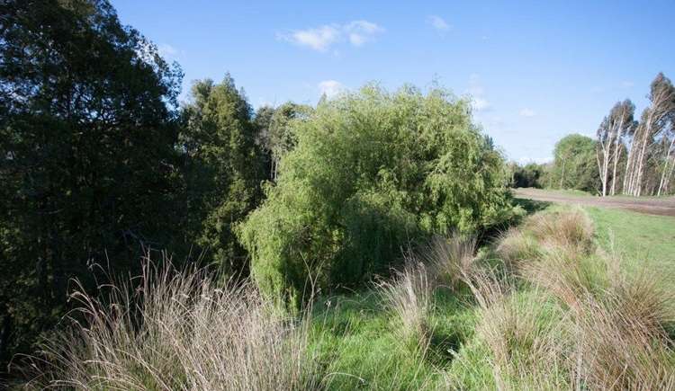 123d Newell Road Tamahere_8