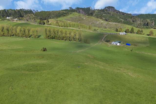 Lot 2 Adams Road Glenbervie_3