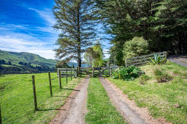 160 Little Akaloa Road Little Akaloa_3