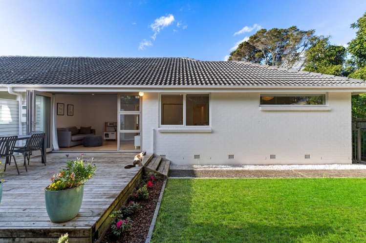60A Premier Avenue Point Chevalier_23
