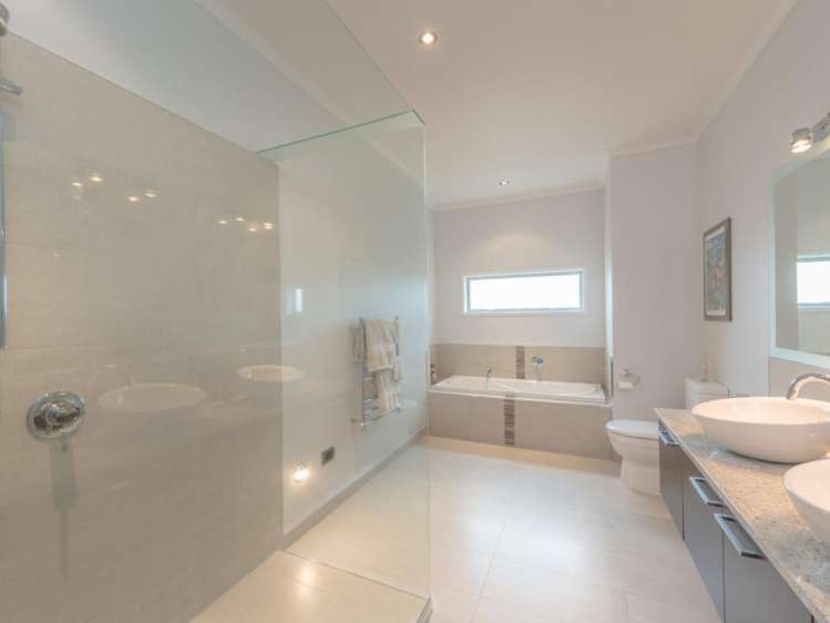 66 Webster Road Matangi_15