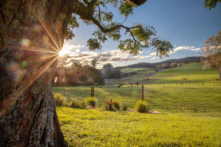 2117 Arapuni Road Pukeatua_9