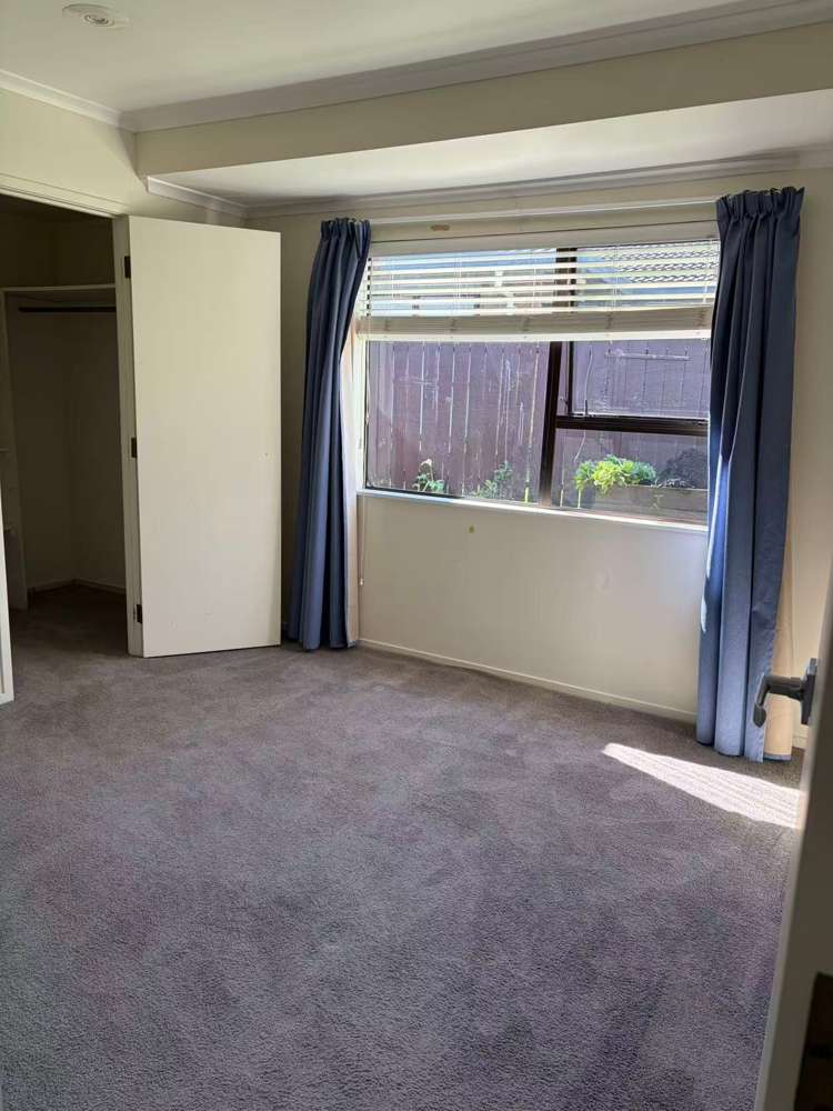 163 Walter Strevens Drive Conifer Grove_11