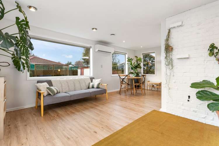 3 Saunders Place Redwood_3