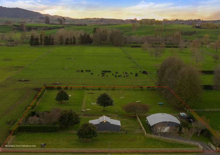 88 Hopkins Road Matamata_21