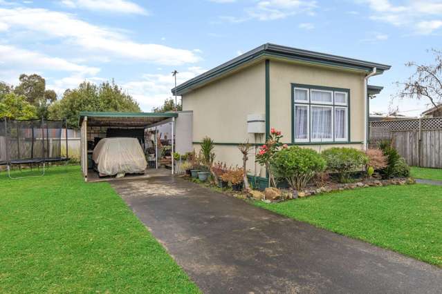 4 Rosedale Place Levin_2