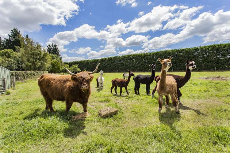 2601 Wards Road Darfield_21