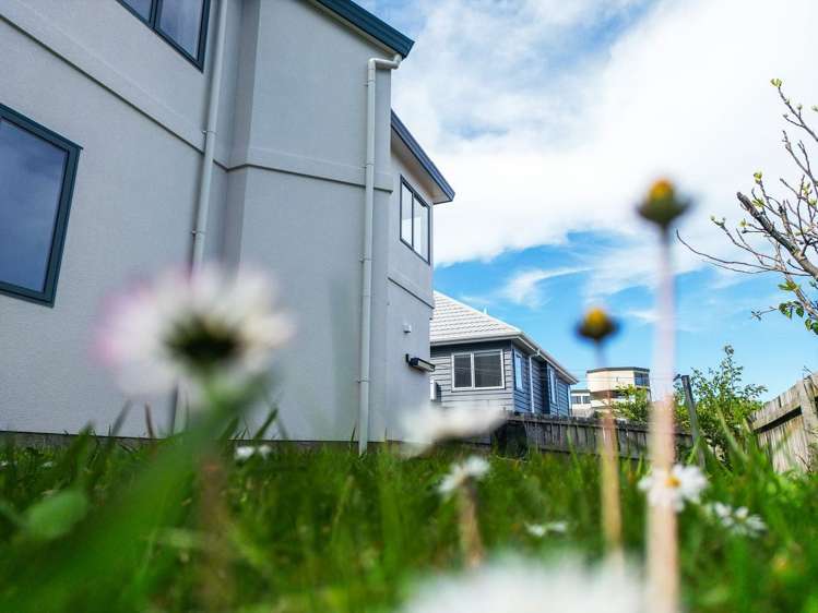 75A Dress Circle Newlands_16