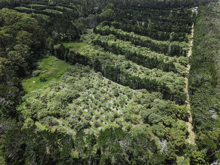 377 Paparore Road Kaitaia_37