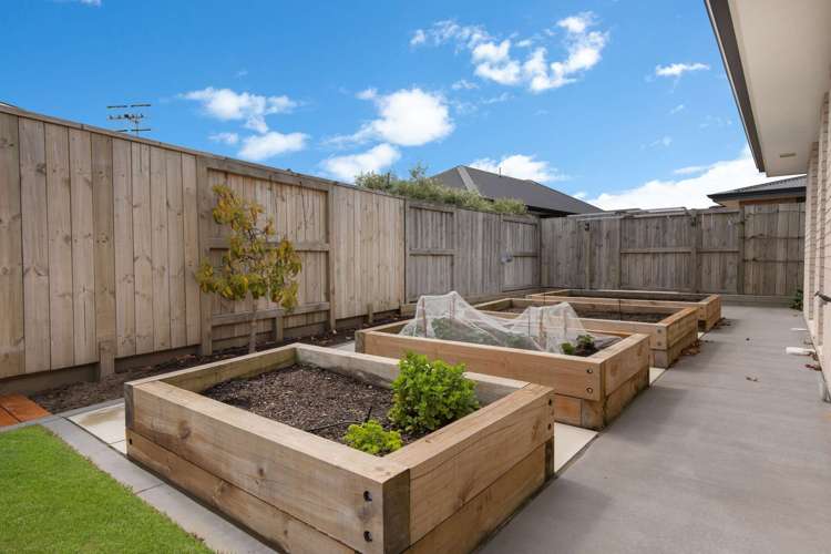 95 The Boulevard Papamoa_17