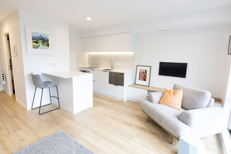 1n/3 Keystone Avenue Mount Roskill_0