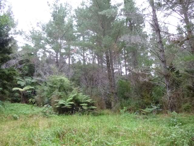 37 Makene Road Mangamuka_4