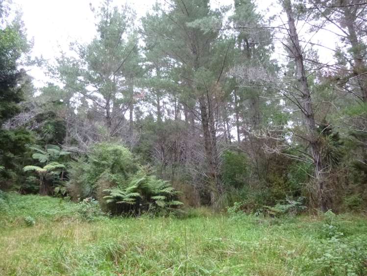 37 Makene Road Mangamuka_4