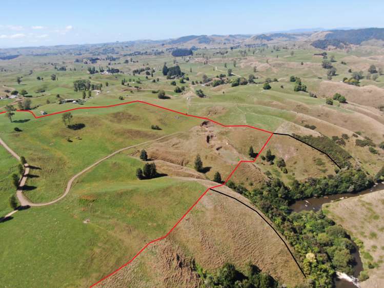 Paekaka Road Piopio_24