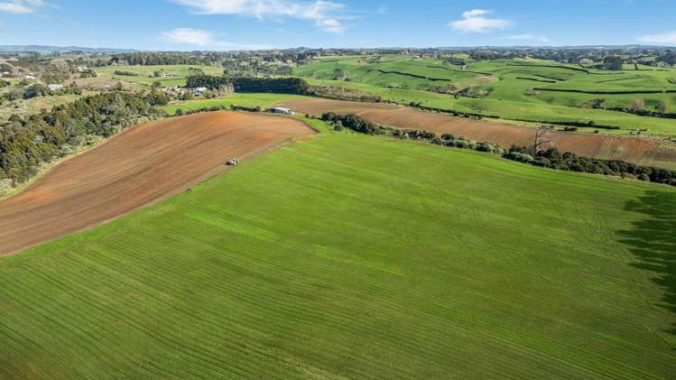 156 Schlaepfer Road Pukekohe_32