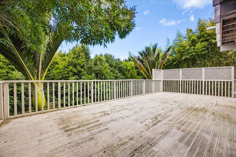 61B Te Kawa Road Greenlane_17