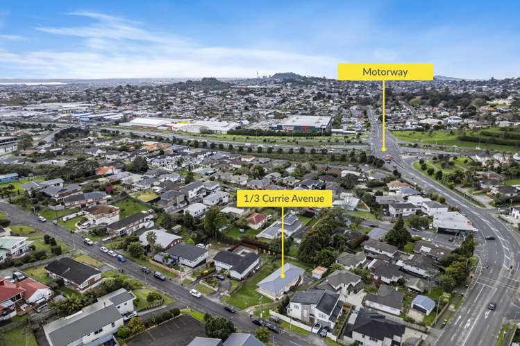 1/3 Currie Avenue Hillsborough_18