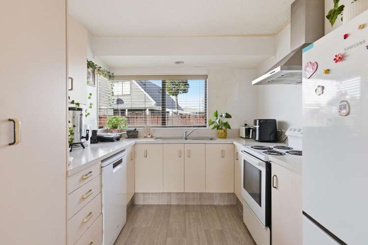 41A Grenada Street Mt Maunganui_2