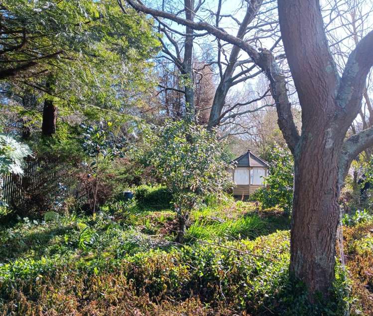 60 Phillips Street Tikokino_13