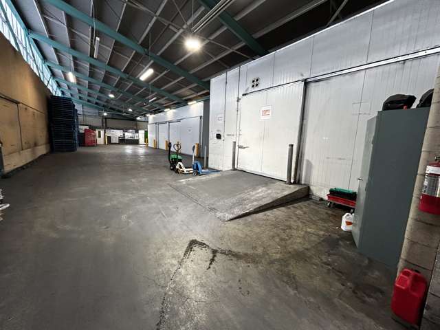 9 Midland Street South Dunedin_2