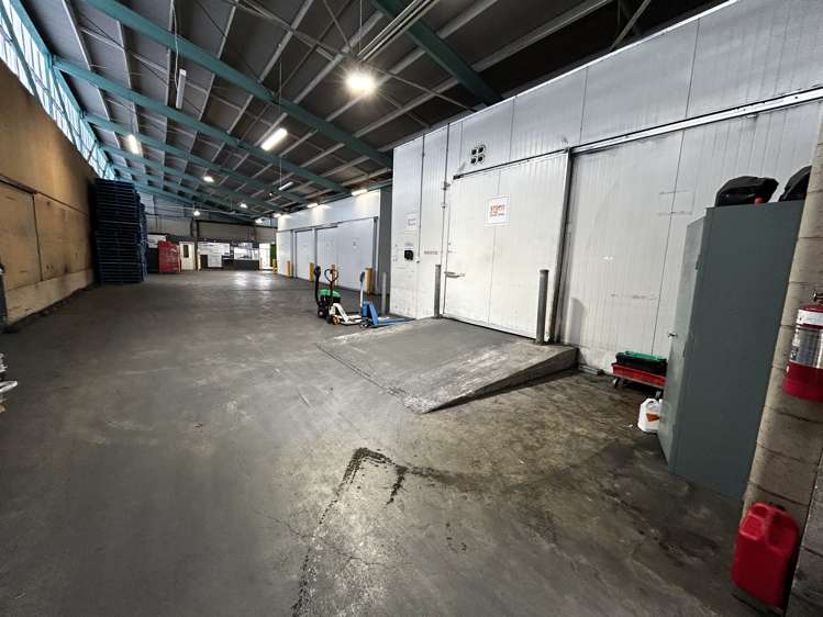 9 Midland Street South Dunedin_2