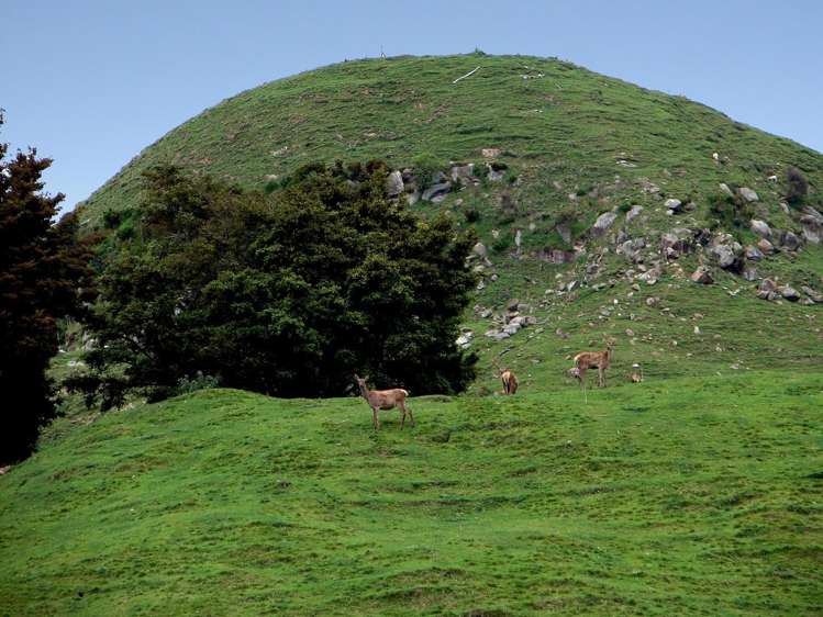 1742 Taringamotu Road Taringamotu_0