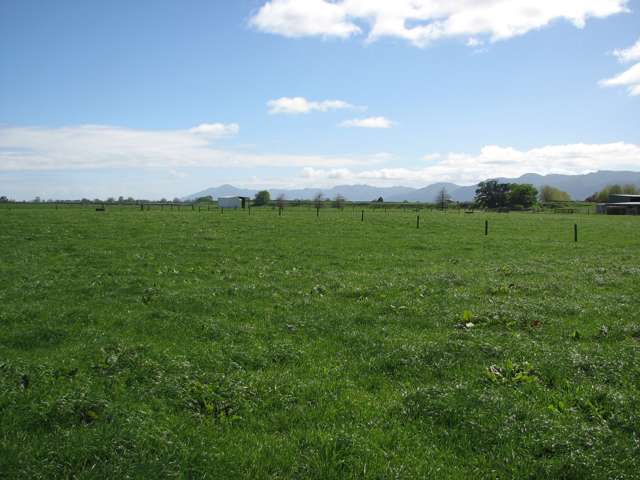 221 Tower Road Matamata_4