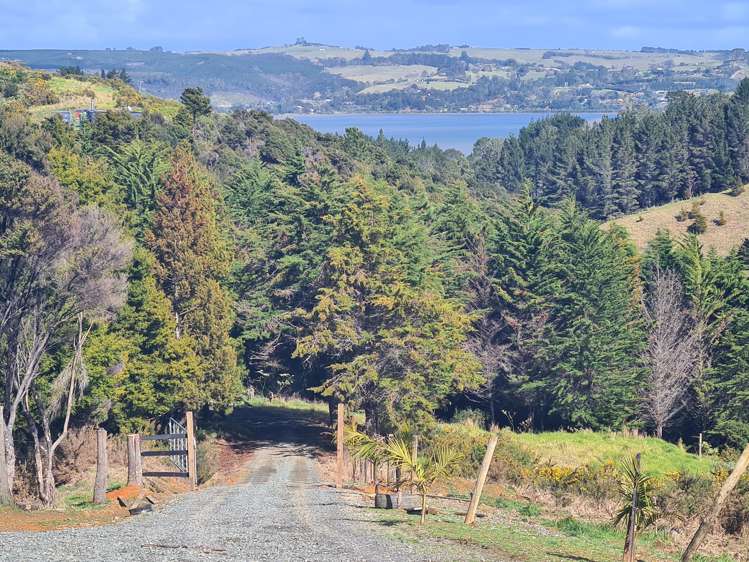 113b Taemaro Road Mangonui_20