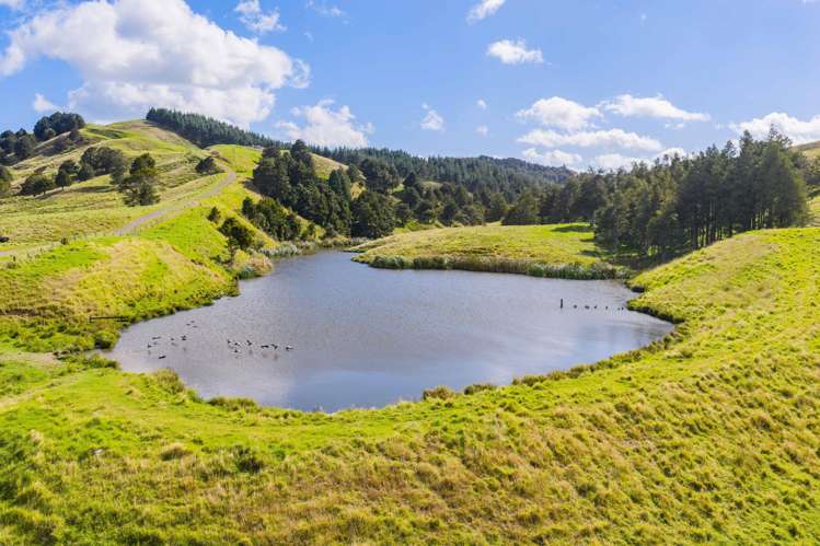 131 Taipuha Road Waiotira_3