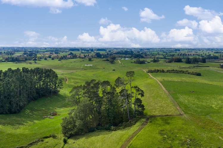 18 Hodgson Road Te Pahu_16