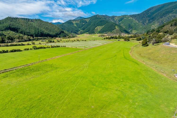 State Highway 1 Koromiko_27