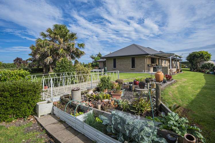 6434 State Highway 12 Dargaville_19