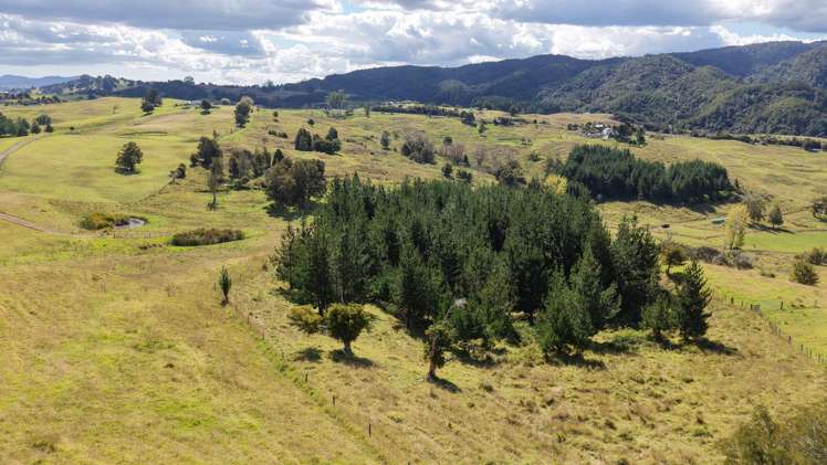 2934 State Highway 1 Umawera_12