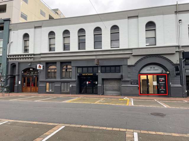 Units 22 and 25/18 - 24 Allen Street Te Aro_2