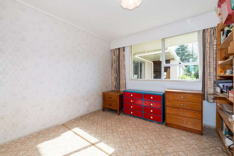87 Kahikatea Flat Road Dairy Flat_24