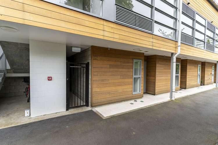 6/432 Great King Street North Dunedin_15