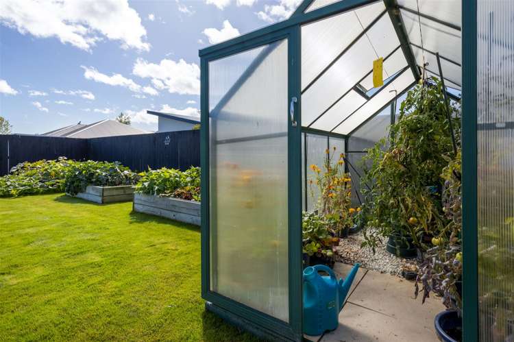 17 Turnbull Drive Witherlea_20