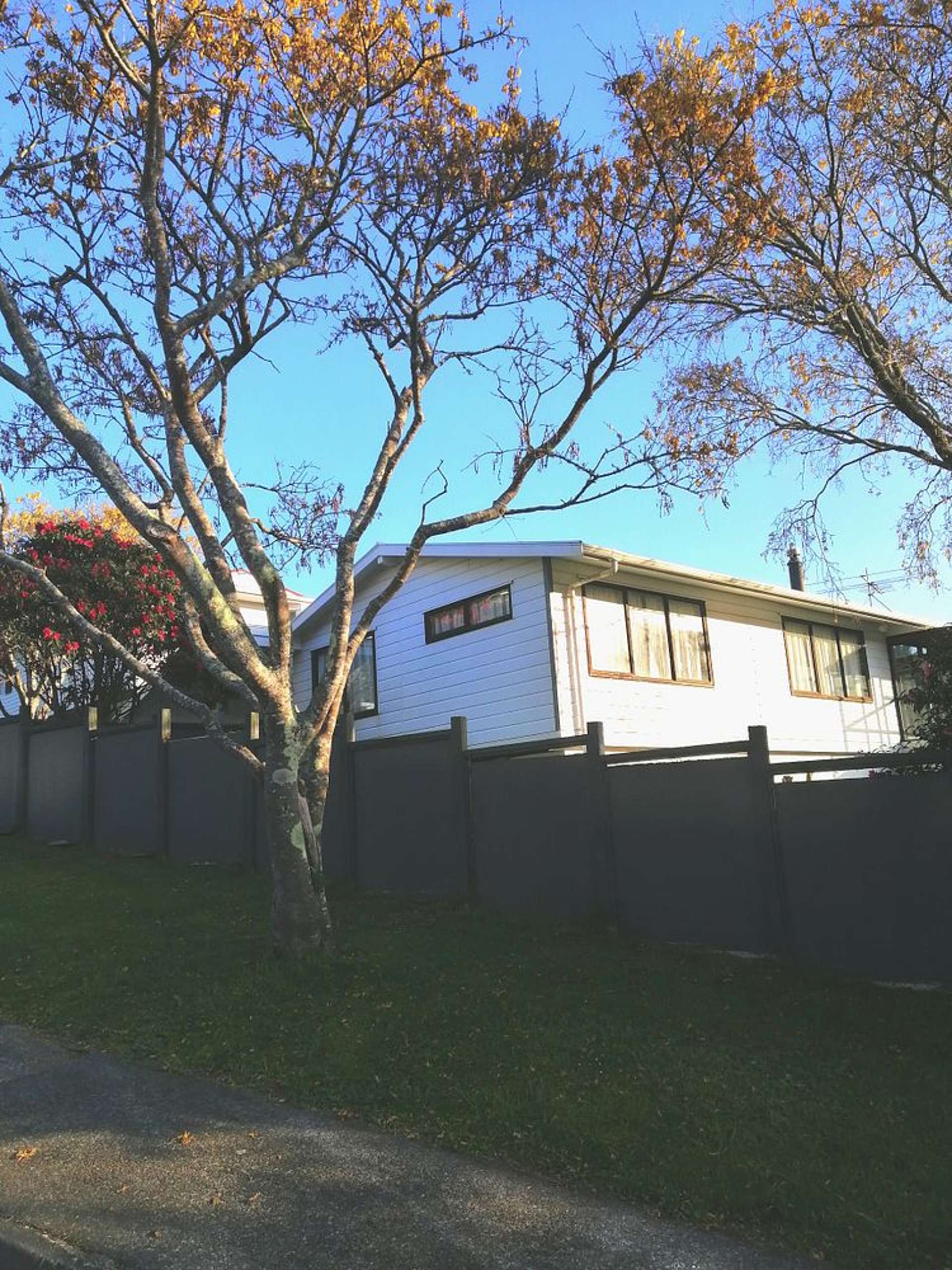 10 Hazlewood Avenue Karori_0