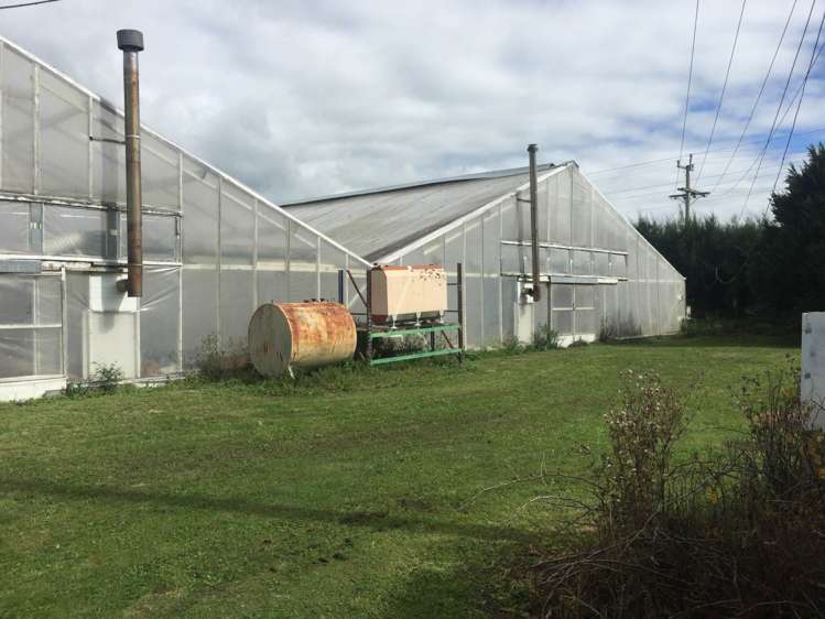 46 Fitzgerald Road Drury_3