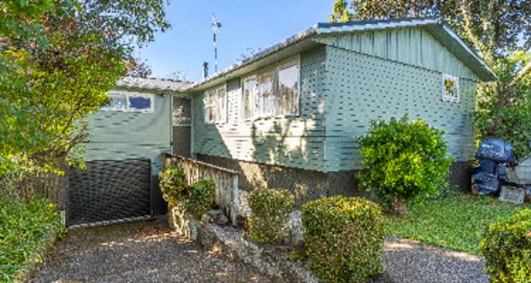 23 Punga Road_0