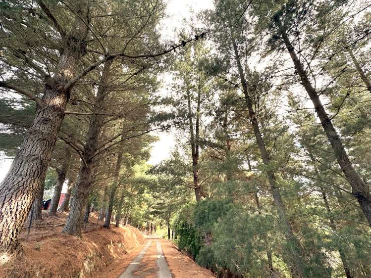 18 Loburn Kowai Road Loburn_34