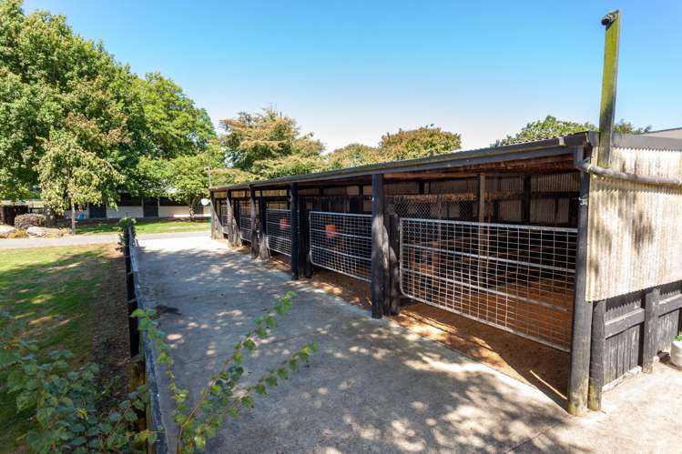 4602A State Highway 29 Matamata_8