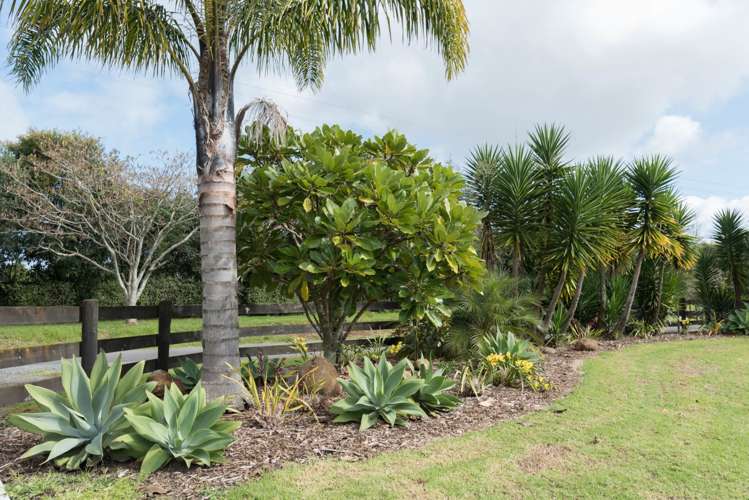 88 Shepherd Road Kerikeri_39