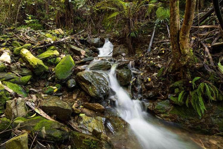 1 Black Point, Whatanihi Marlborough Sounds_25