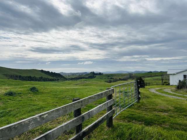 896c Whakapirau Road Whakapirau_2